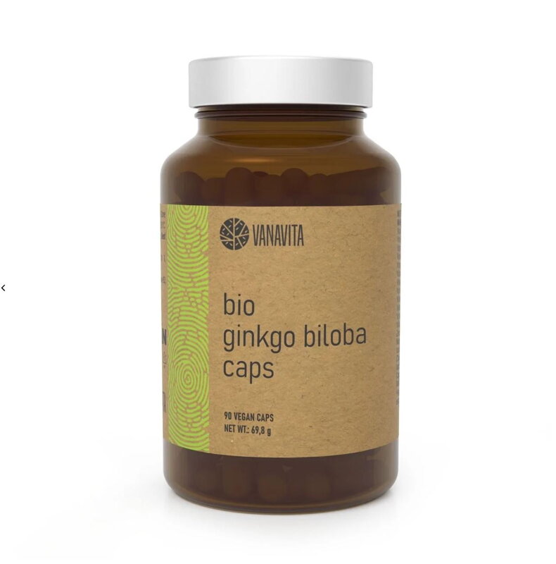 Ginkgo 24/6 